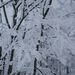20060211_zaoskitrip_007